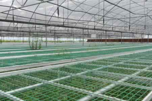 陜西育苗大棚|連棟溫室大棚