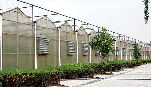 規(guī)模大，質(zhì)量好