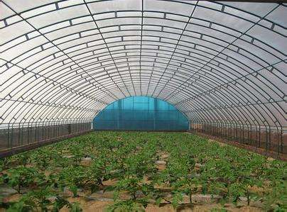 技術(shù)專業(yè)，服務(wù)到位