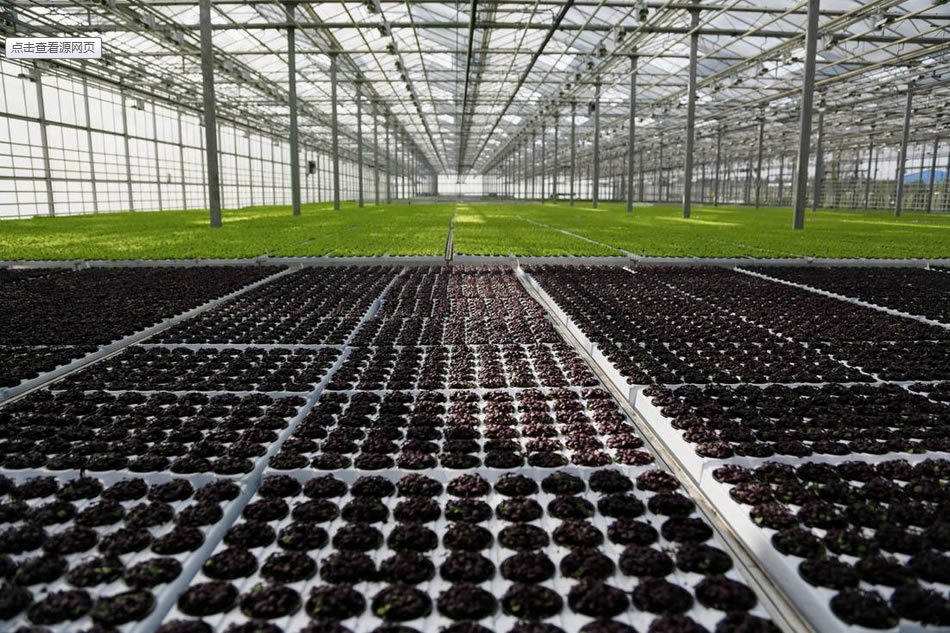 實(shí)力雄厚，品質(zhì)保證！