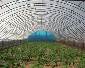 技術(shù)專(zhuān)業(yè)，服務(wù)到位