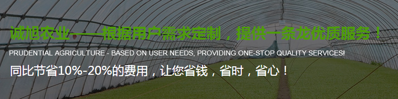 陜西溫室大棚養(yǎng)殖大棚