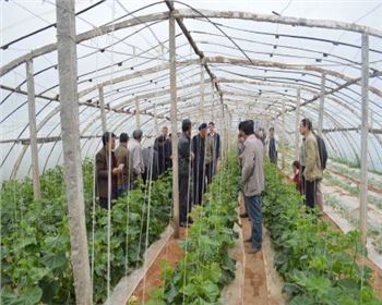 精準(zhǔn)控溫賦能高效種植，解鎖農(nóng)業(yè)高產(chǎn)新路徑