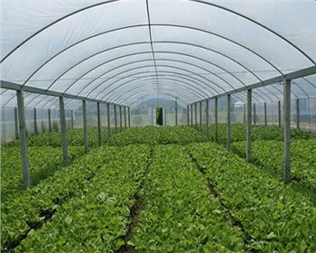 智能低碳雙輪驅(qū)動(dòng) 溫室大棚市場(chǎng)年增 7.6% 2030 年規(guī)模將達(dá) 980 億元