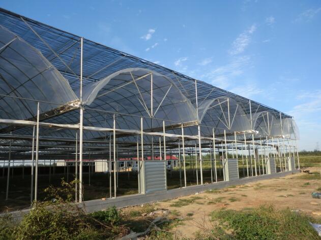 陜西溫室大棚突然遇到冰雹天氣該如何避免？